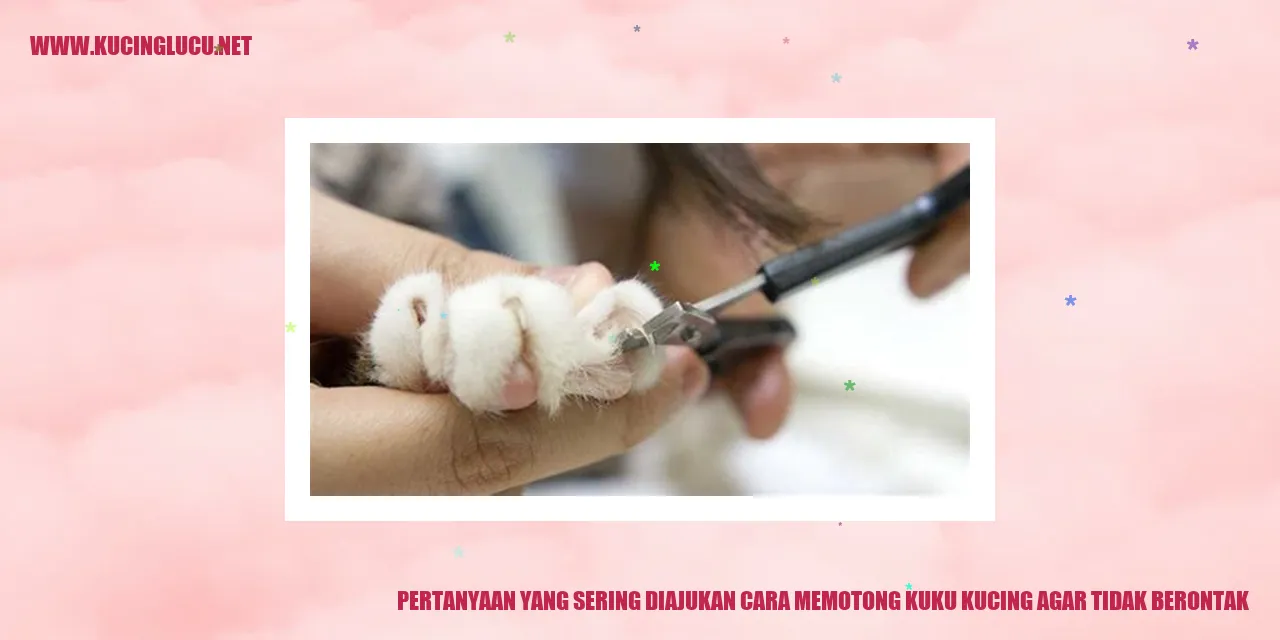 Ilustrasi kucing memotong kuku