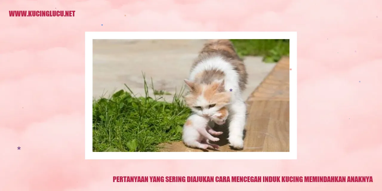 Gambar Kucing dan Anaknya