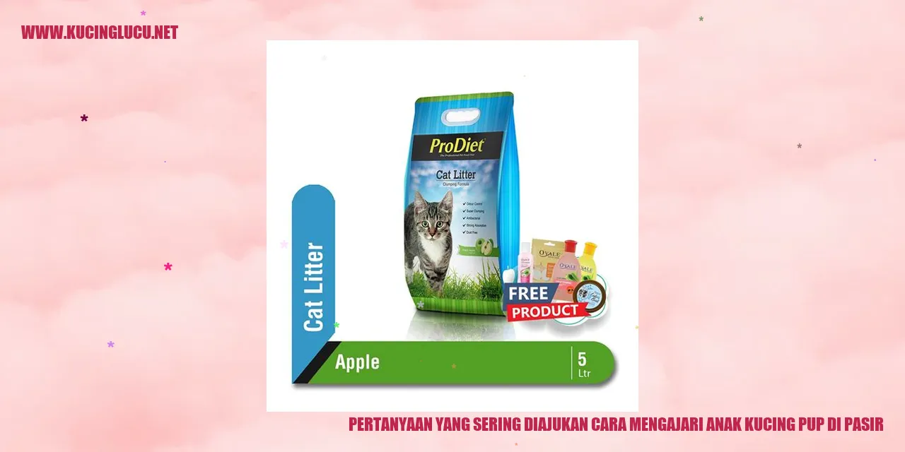 Gambar Kucing di Pasir