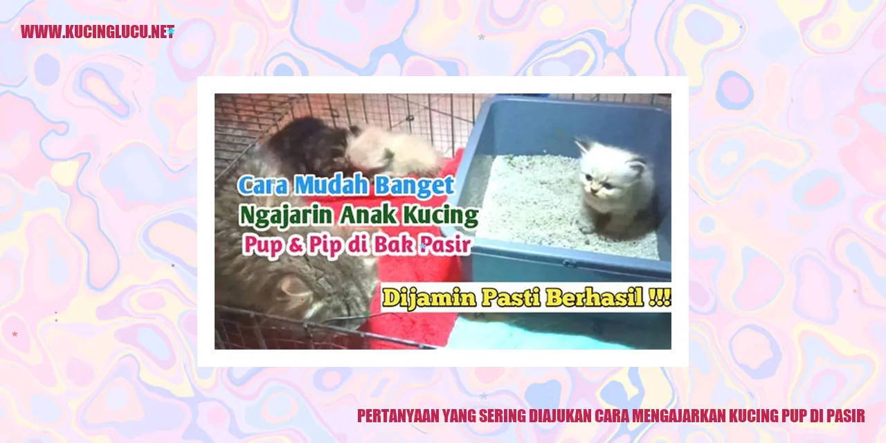 Ilustrasi Kucing Menggunakan Kotak Pasir