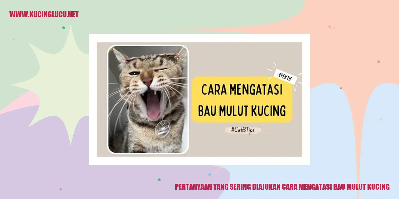 Ilustrasi Kucing Menghadapi Bau Mulut