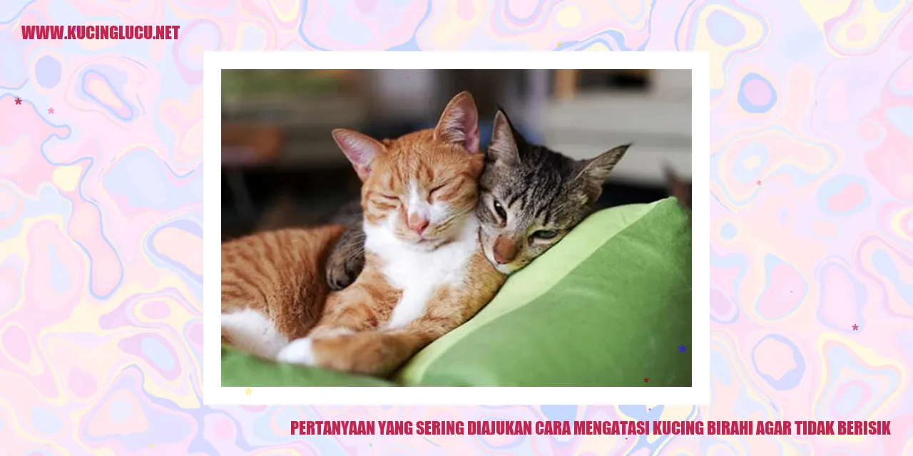 Gambar Kucing Birahi