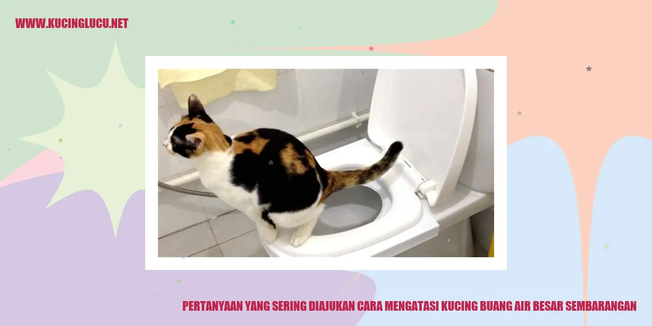 Ilustrasi Kucing Buang Air Besar Sembarangan