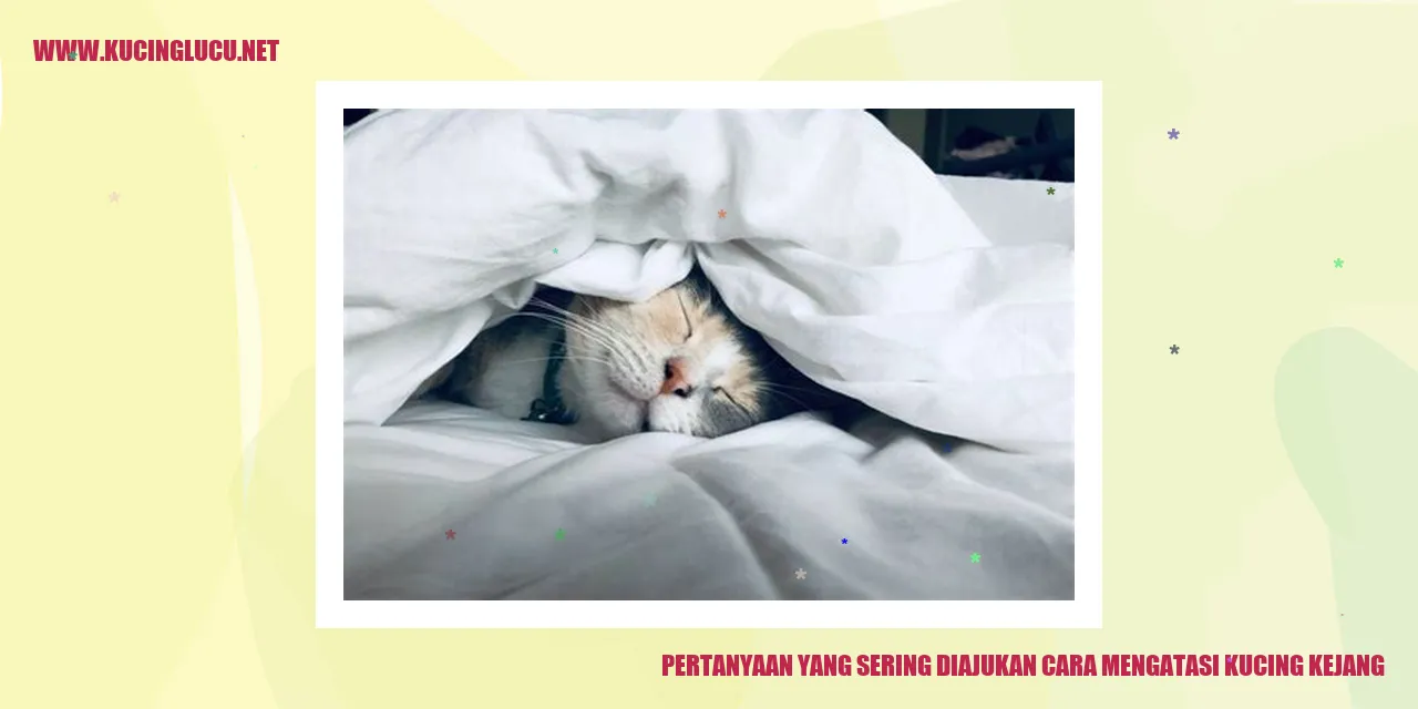 Pertanyaan yang Sering Diajukan cara mengatasi kucing kejang