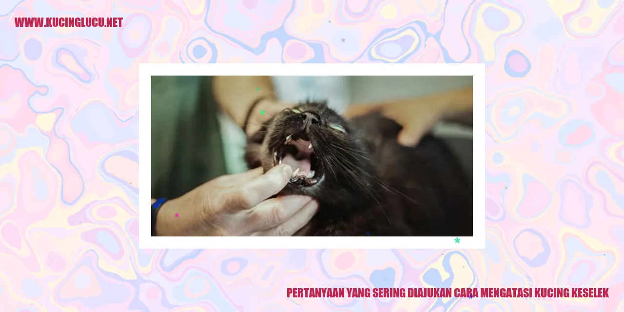 Kucing Tersedak