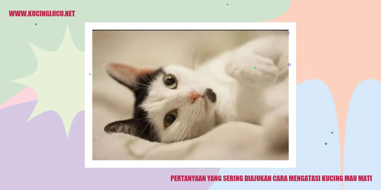 Kucing Sedih
