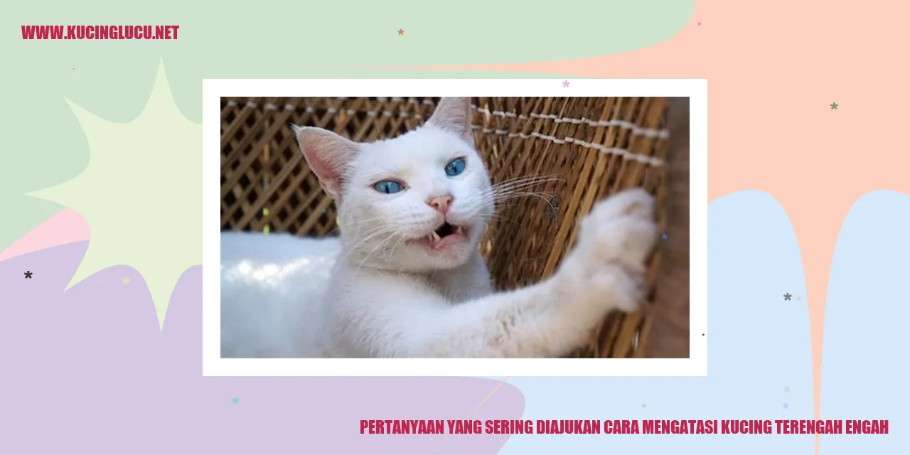 Kucing Terengah-engah