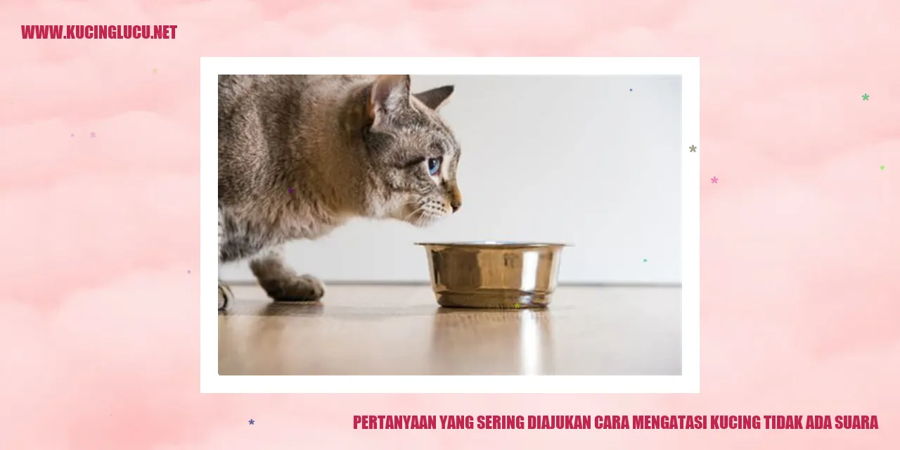 Gambar Kucing Tidak Ada Suara