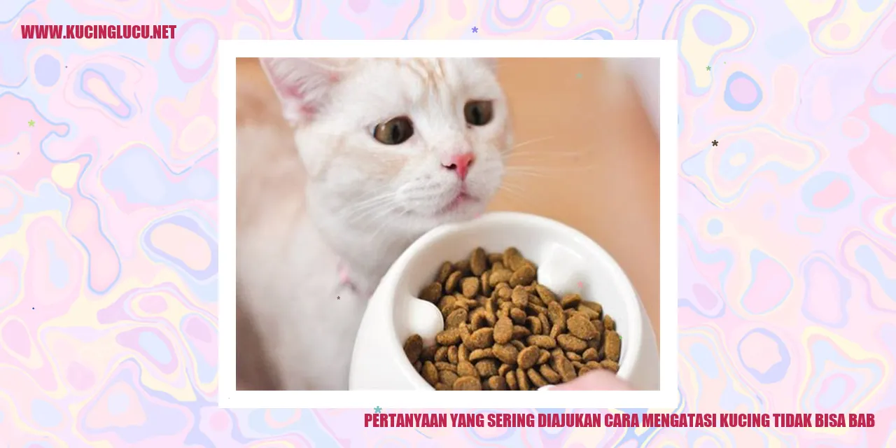 Kucing mengalami kesulitan BAB