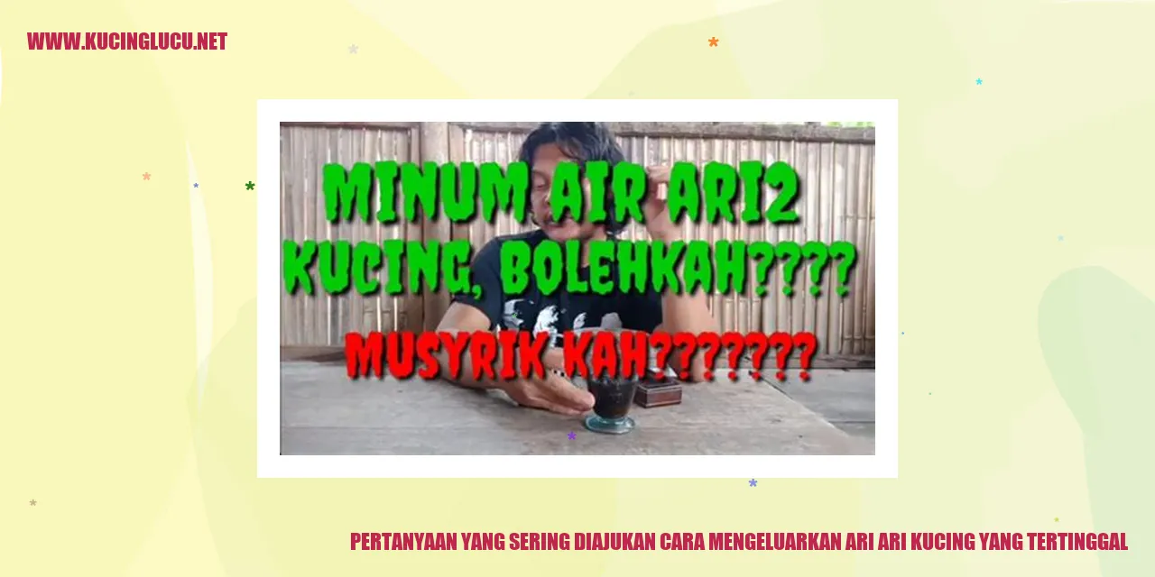 Cara Mengeluarkan Ari-Ari Kucing yang Tertinggal