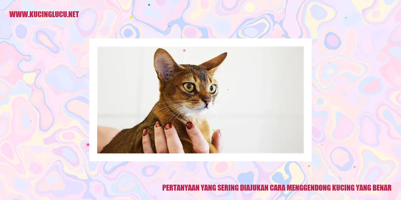 Menggendong hewan peliharaan