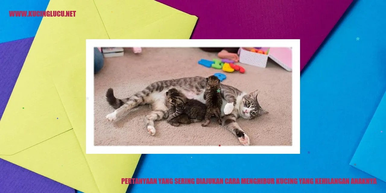Gambar kucing yang sedih