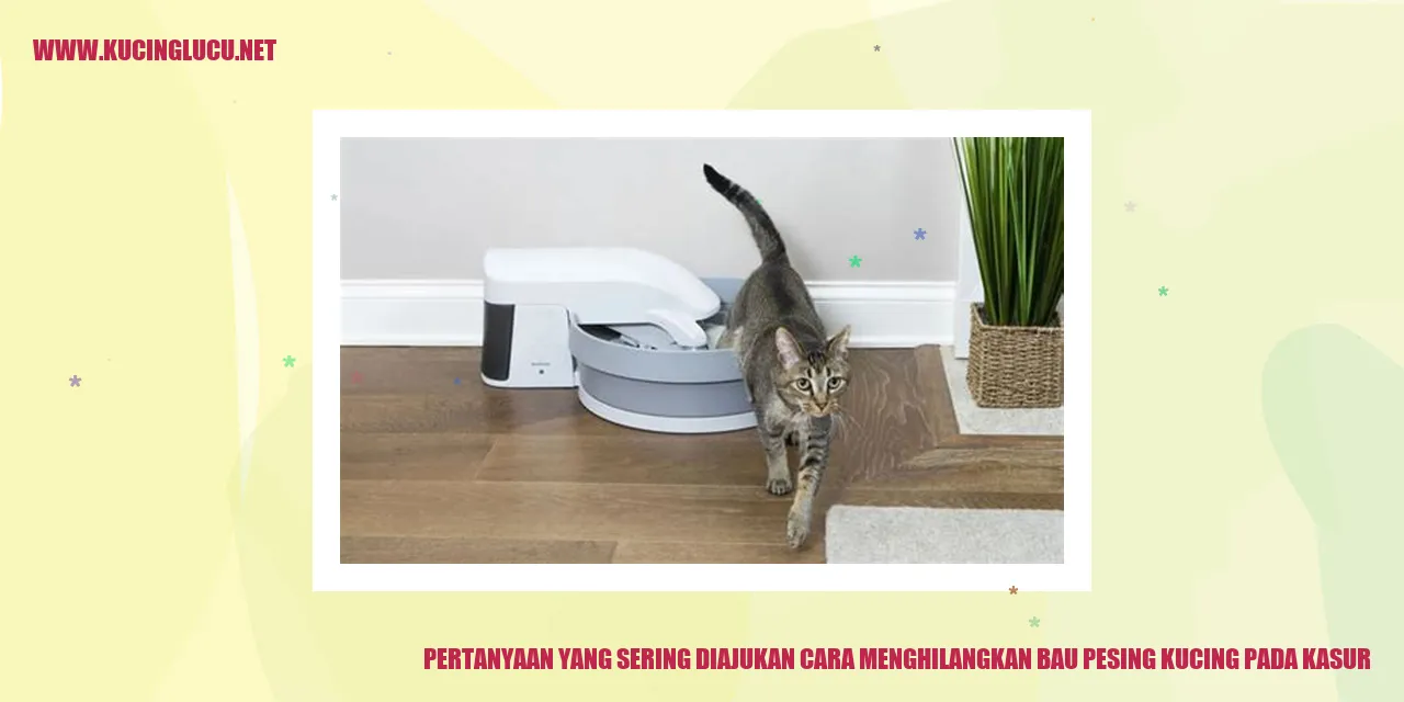 Sumber Gambar: Kucing pada kasur