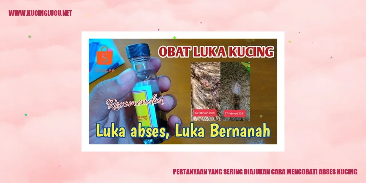 Gambar abses kucing