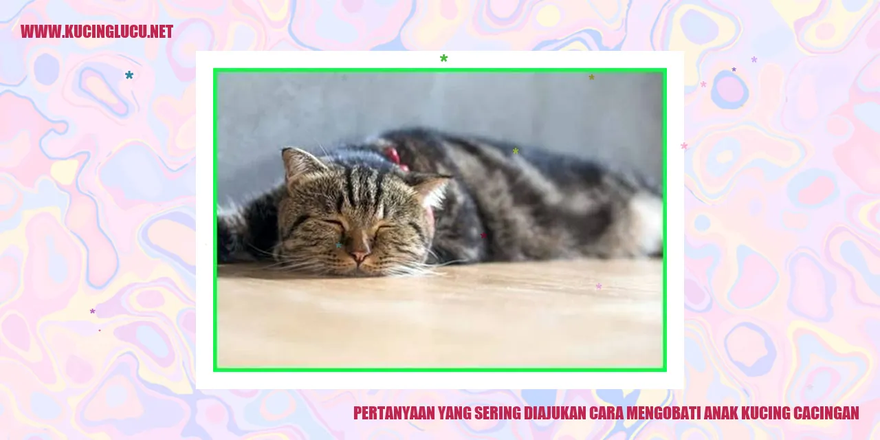 Gambar Anak Kucing Cacingan