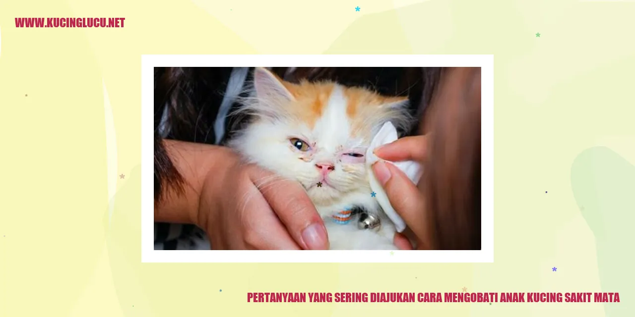 Gambar anak kucing sakit mata