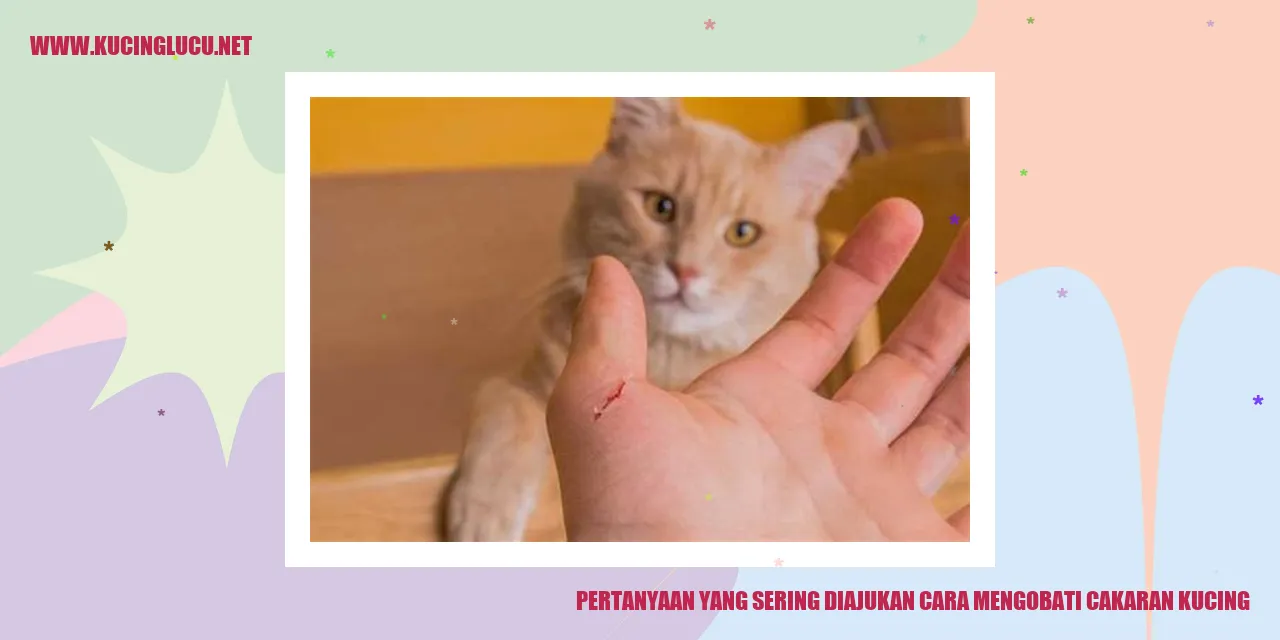 Pertanyaan yang Sering Diajukan cara mengobati cakaran kucing