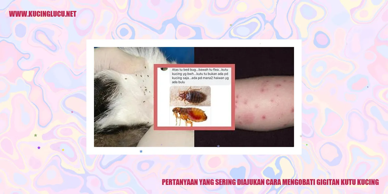Pertanyaan yang Sering Diajukan cara mengobati gigitan kutu kucing
