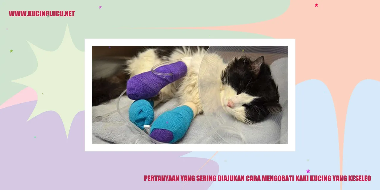 Kaki Kucing yang Keseleo