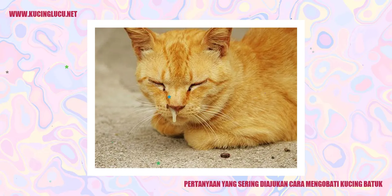 Cara Mengobati Kucing Batuk