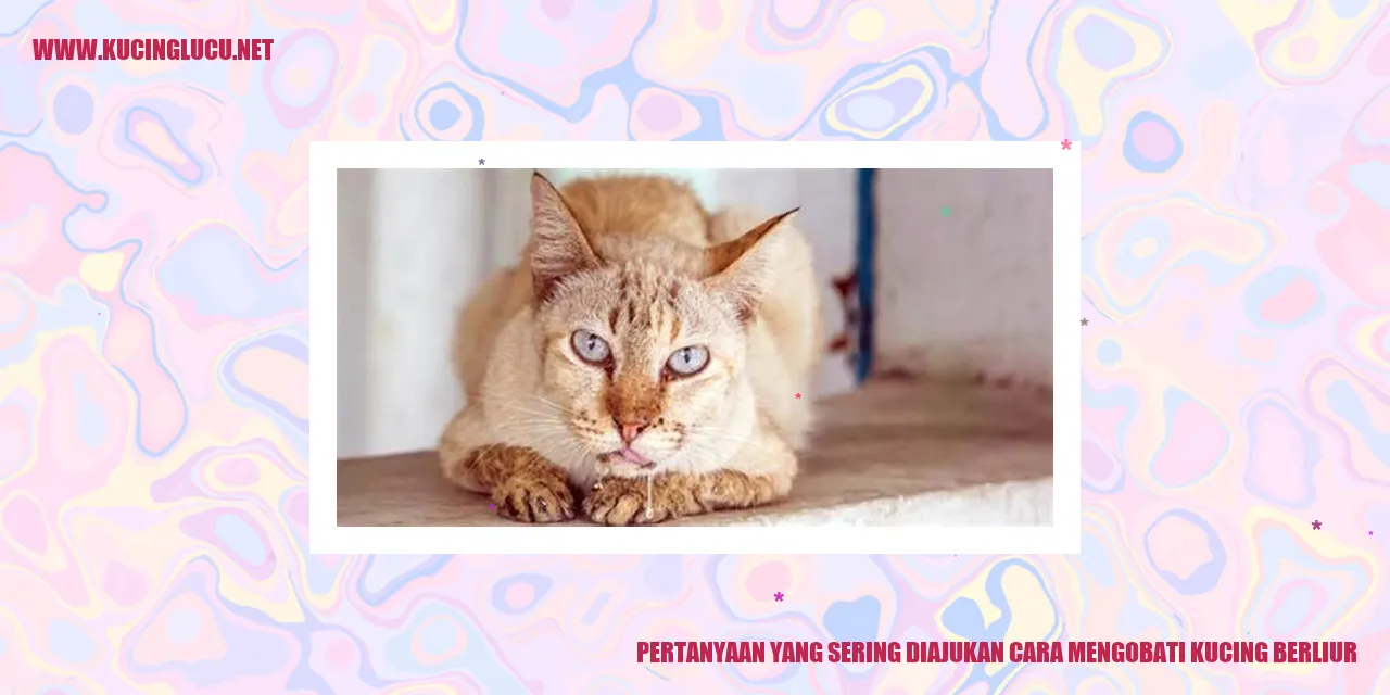 kucing berliur