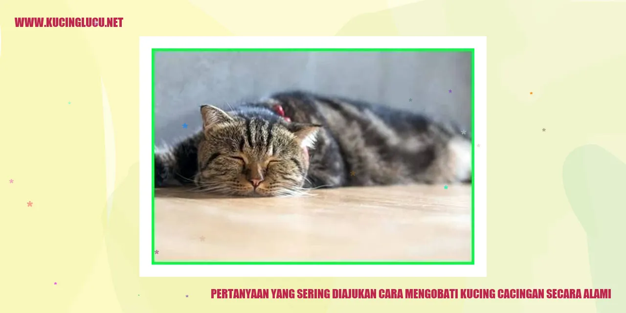 Pertanyaan yang Sering Diajukan Mengenai Cara Mengatasi Cacingan pada Kucing secara Alami