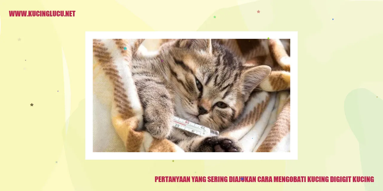 gambar kucing menggigit kucing