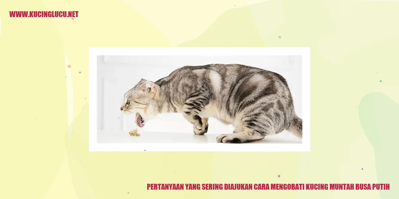 Kucing Muntah Busa Putih