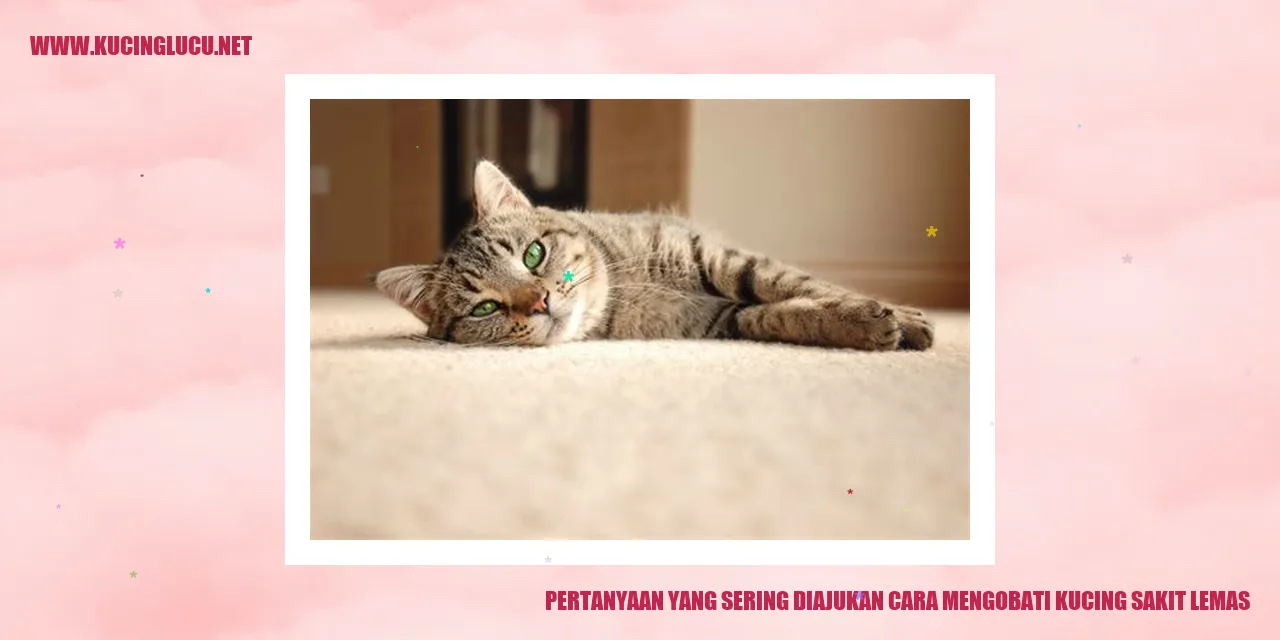 Gambar: Pertanyaan yang Sering Ditanyakan Tentang Cara Merawat Kucing yang Lemas