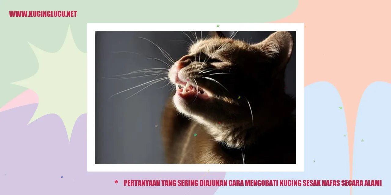 Gambar kucing sesak nafas
