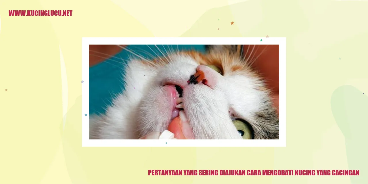 Cara Mengobati Kucing yang Cacingan