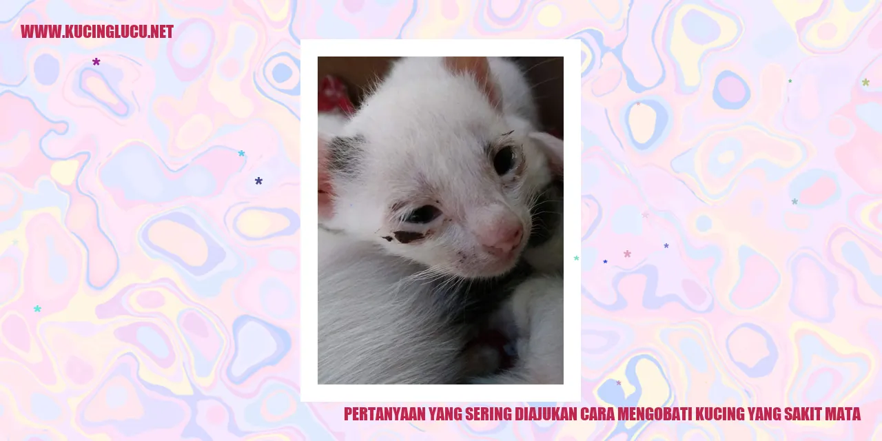 Ilustrasi Pertanyaan yang Sering Diajukan tentang Cara Mengobati Kucing yang Sakit Mata