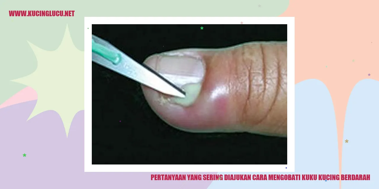 Pertanyaan yang Sering Diajukan cara mengobati kuku kucing berdarah