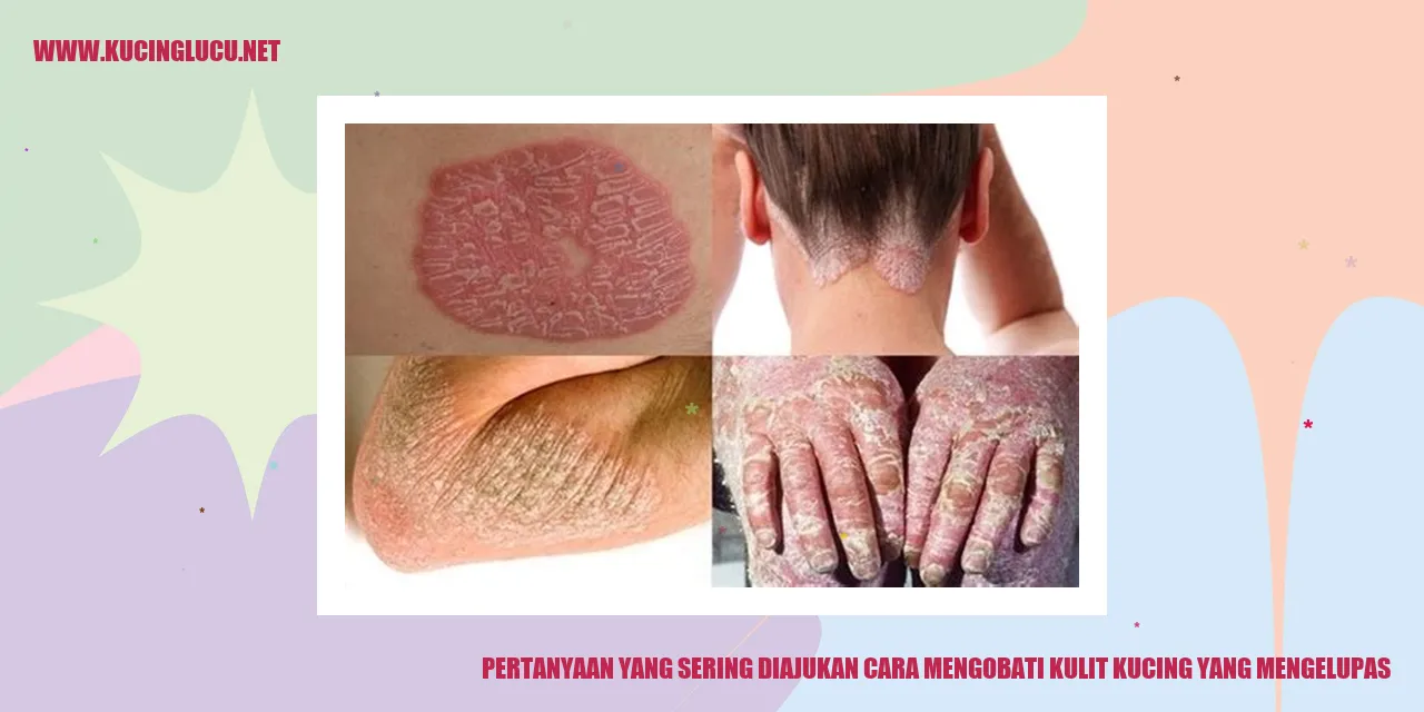 Gambar kucing dengan kulit yang mengelupas