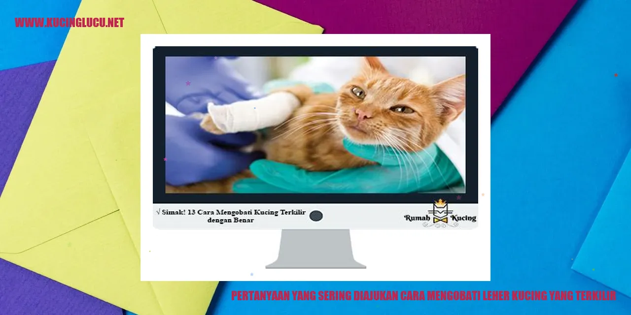 Ilustrasi kucing dengan leher terkilir