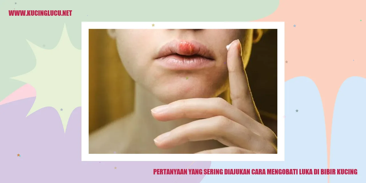 Pertanyaan yang Sering Diajukan cara mengobati luka di bibir kucing