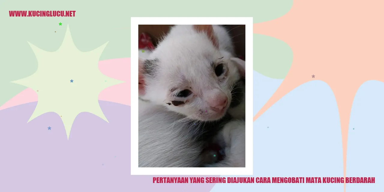 Gambar mata kucing berdarah
