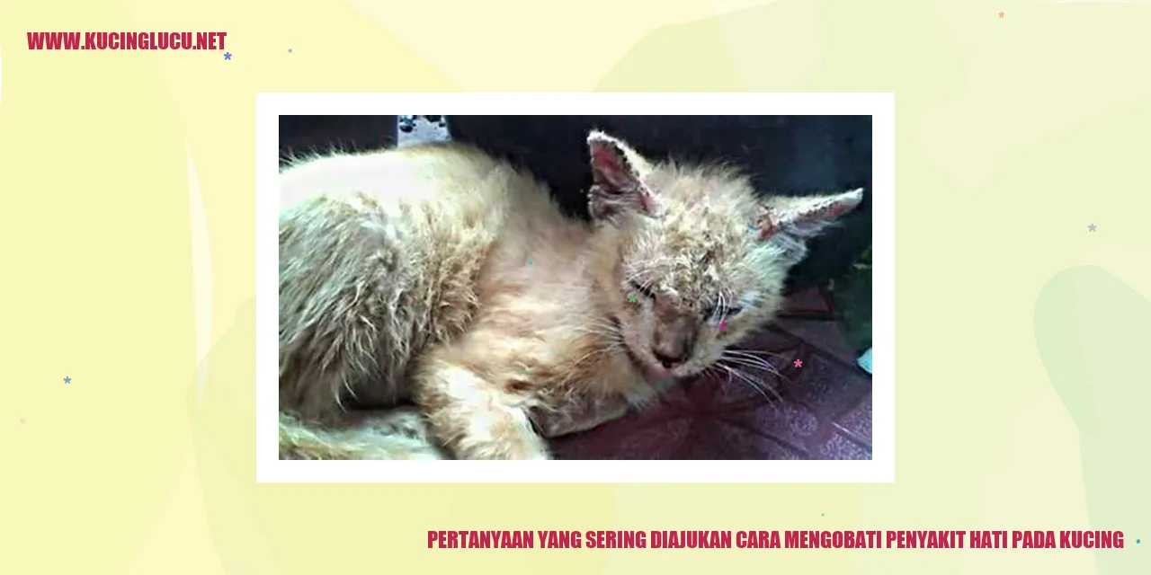 Pertanyaan yang Sering Ditanyakan mengenai Pengobatan Penyakit Hati pada Kucing
