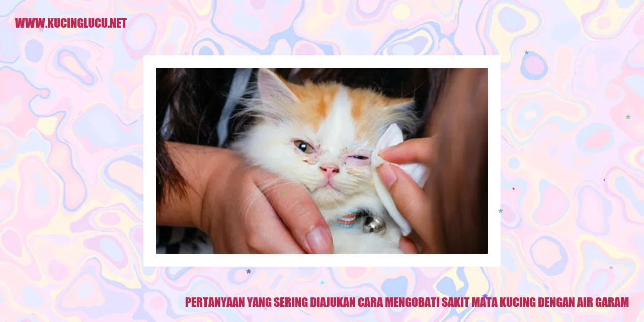 Ilustrasi Pertanyaan yang Sering Diajukan tentang Cara Mengobati Sakit Mata Kucing dengan Air Garam