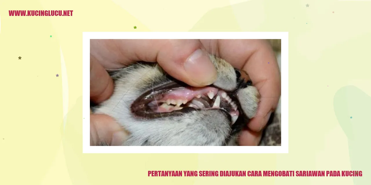kucing dengan luka di mulut