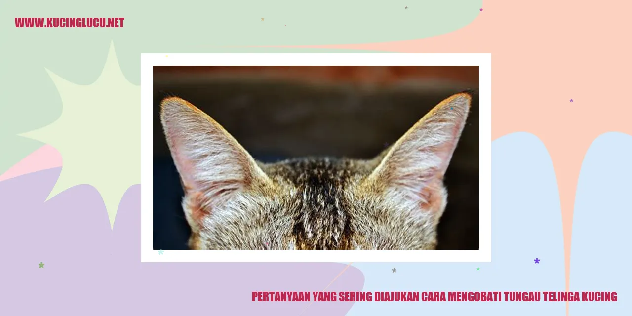 tungau telinga kucing