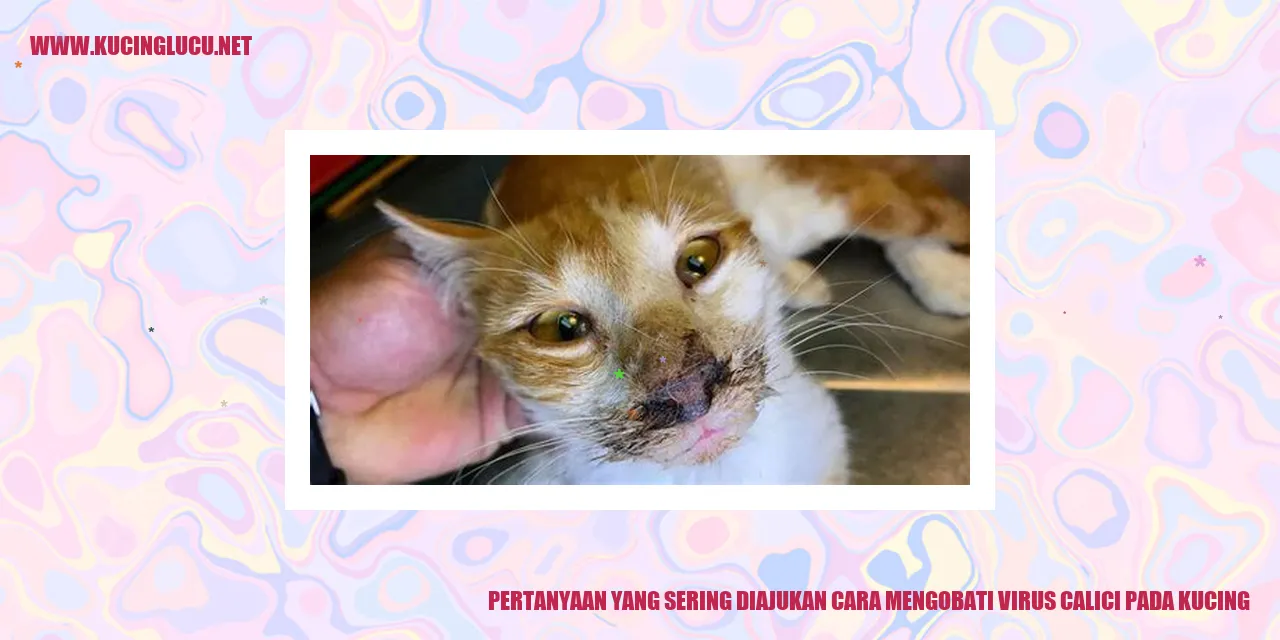 Gambar Virus Calici pada kucing
