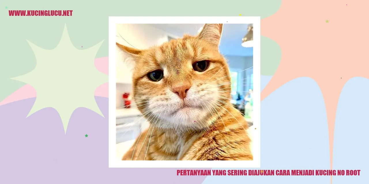 pertanyaan sering diajukan