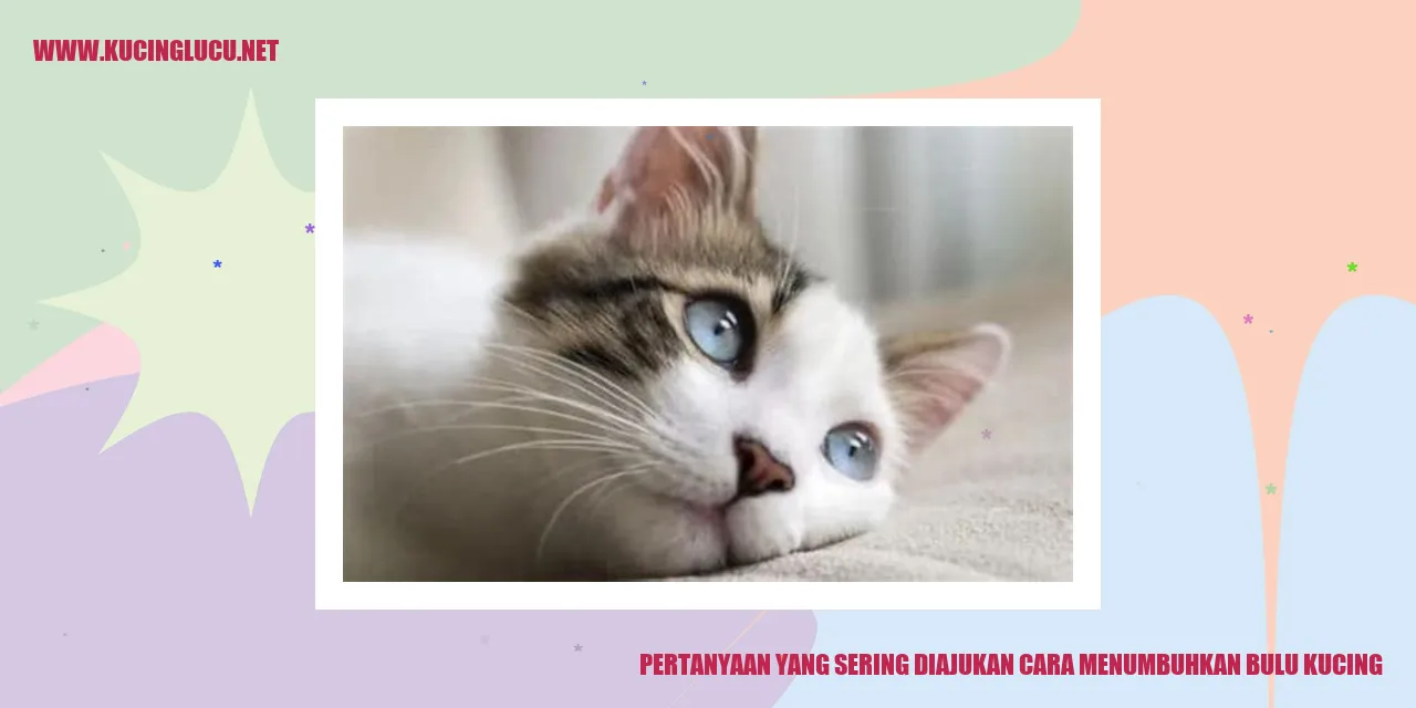 Gambar seekor kucing dengan bulu lebat