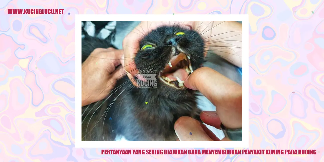 Pertanyaan yang Sering Diajukan tentang Cara Menyembuhkan Penyakit Kuning pada Kucing
