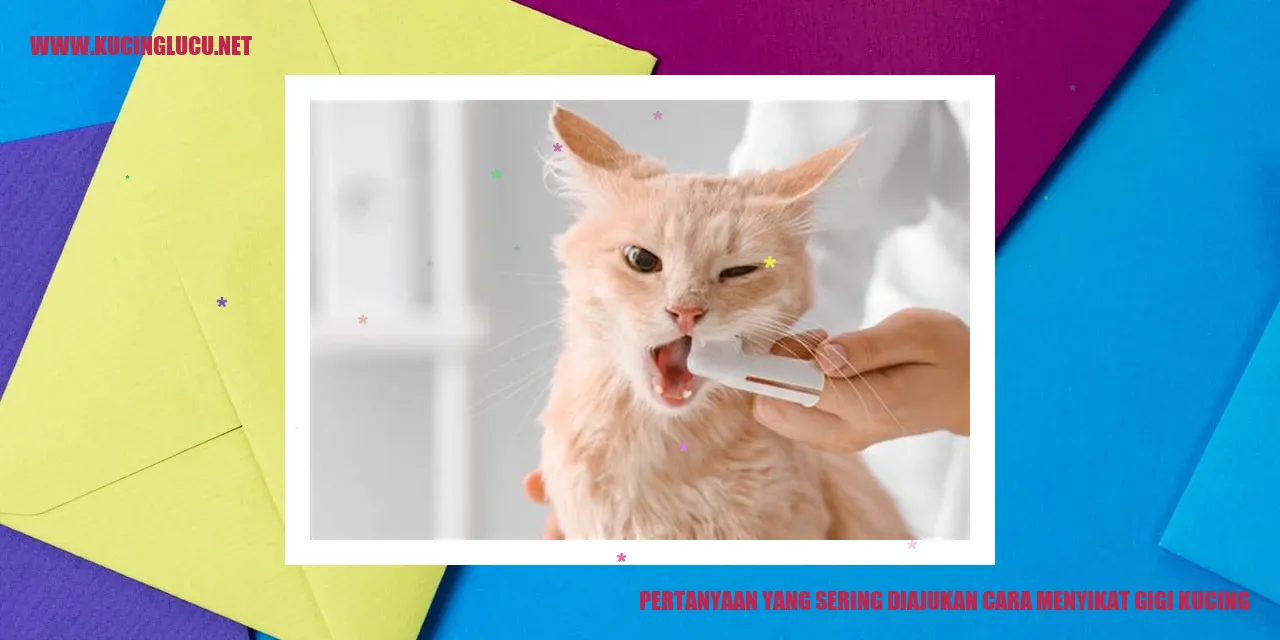 Ilustrasi Sikat Gigi Kucing