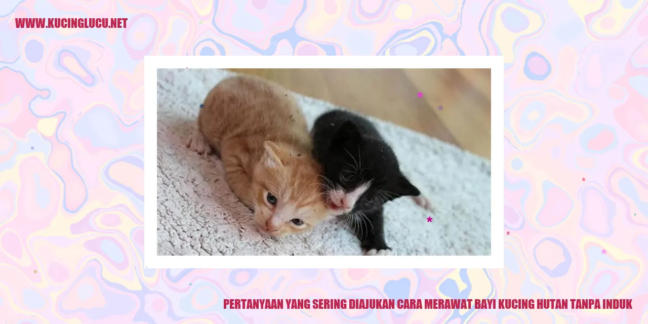 Bayi Kucing Hutan Tanpa Induk