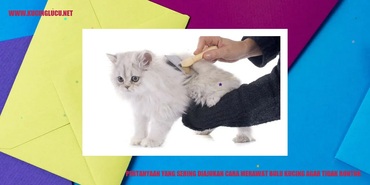 Gambar Bulu Kucing