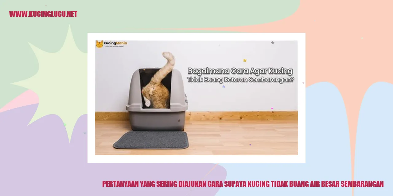 Ilustrasi kucing menggunakan kotoran dengan benar