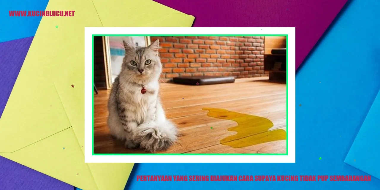 Pertanyaan yang Sering Diajukan Cara Agar Kucing Tidak Pup Sembarangan